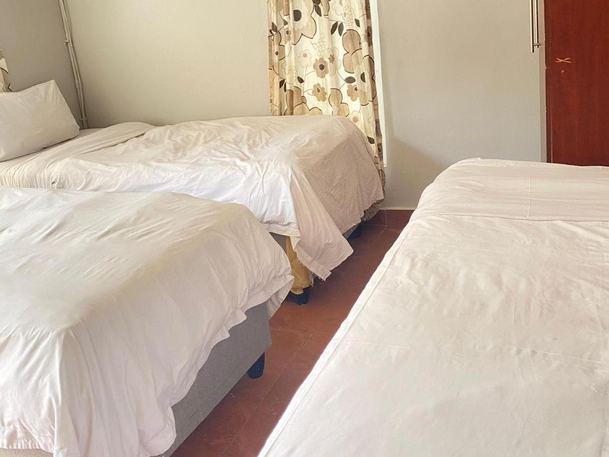 Bentley Backpackers Albergue Durban Exterior foto